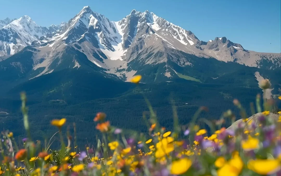 Denver Executive Flourishing Forum (April 29, 2026)