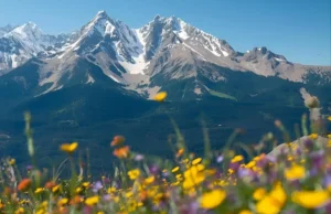 Flourishing Forum in Denver Colorado